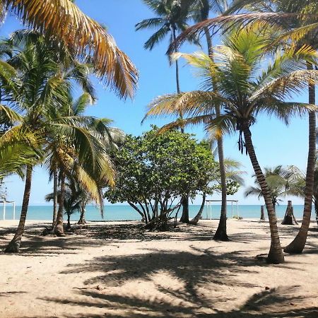 Hotel Playa Mandala Palomino Eksteriør bilde