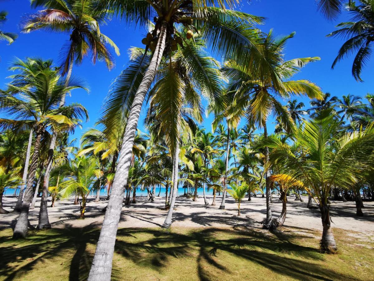 Hotel Playa Mandala Palomino Eksteriør bilde