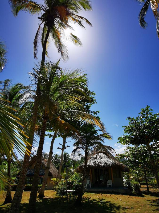 Hotel Playa Mandala Palomino Eksteriør bilde