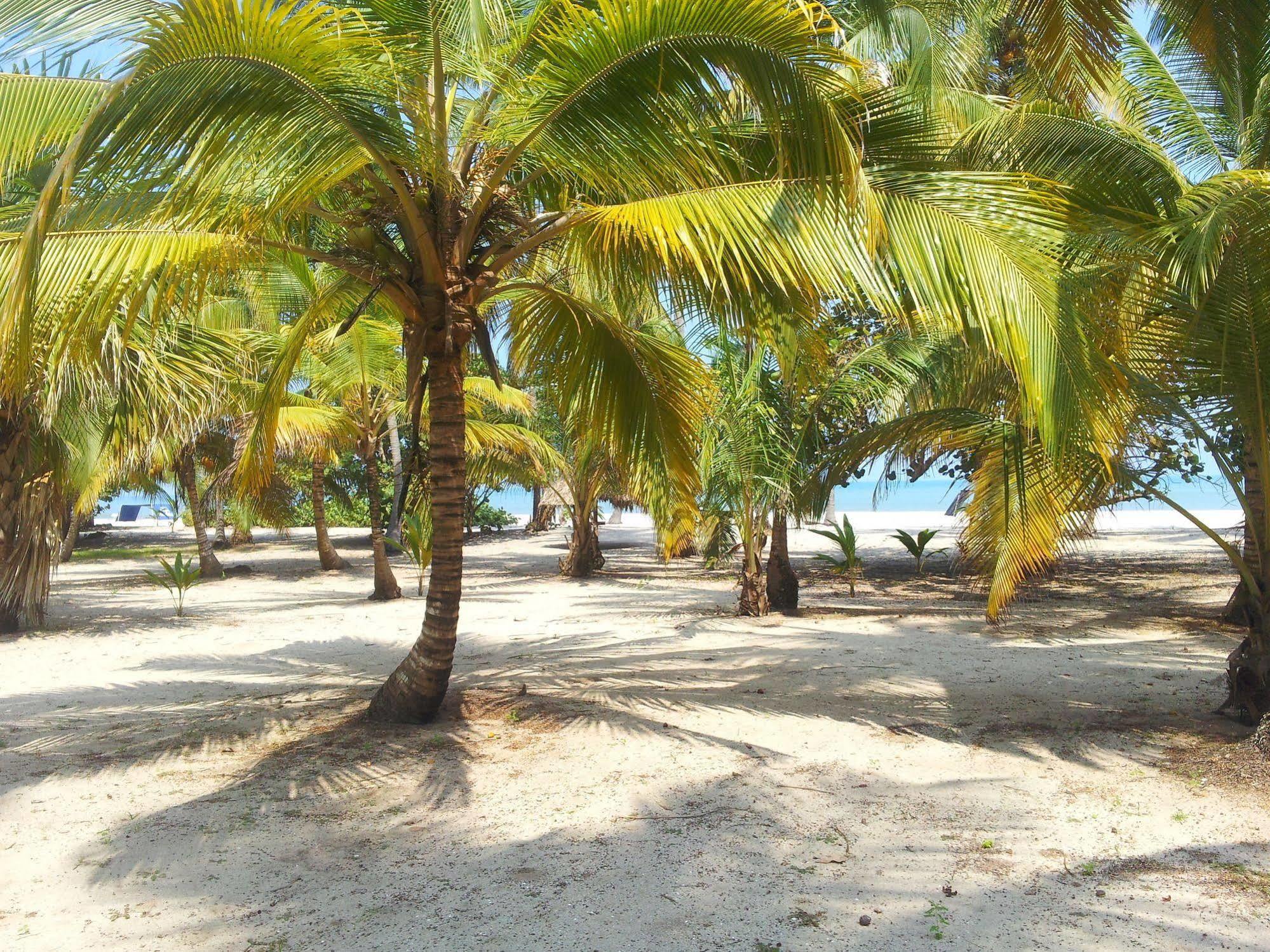 Hotel Playa Mandala Palomino Eksteriør bilde