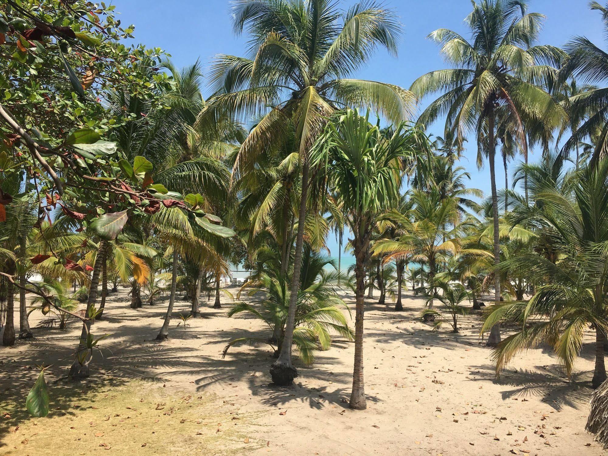 Hotel Playa Mandala Palomino Eksteriør bilde