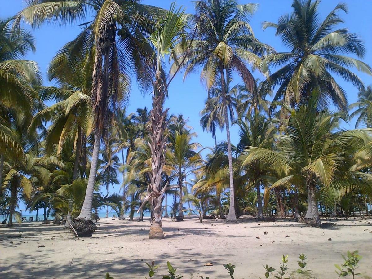 Hotel Playa Mandala Palomino Eksteriør bilde