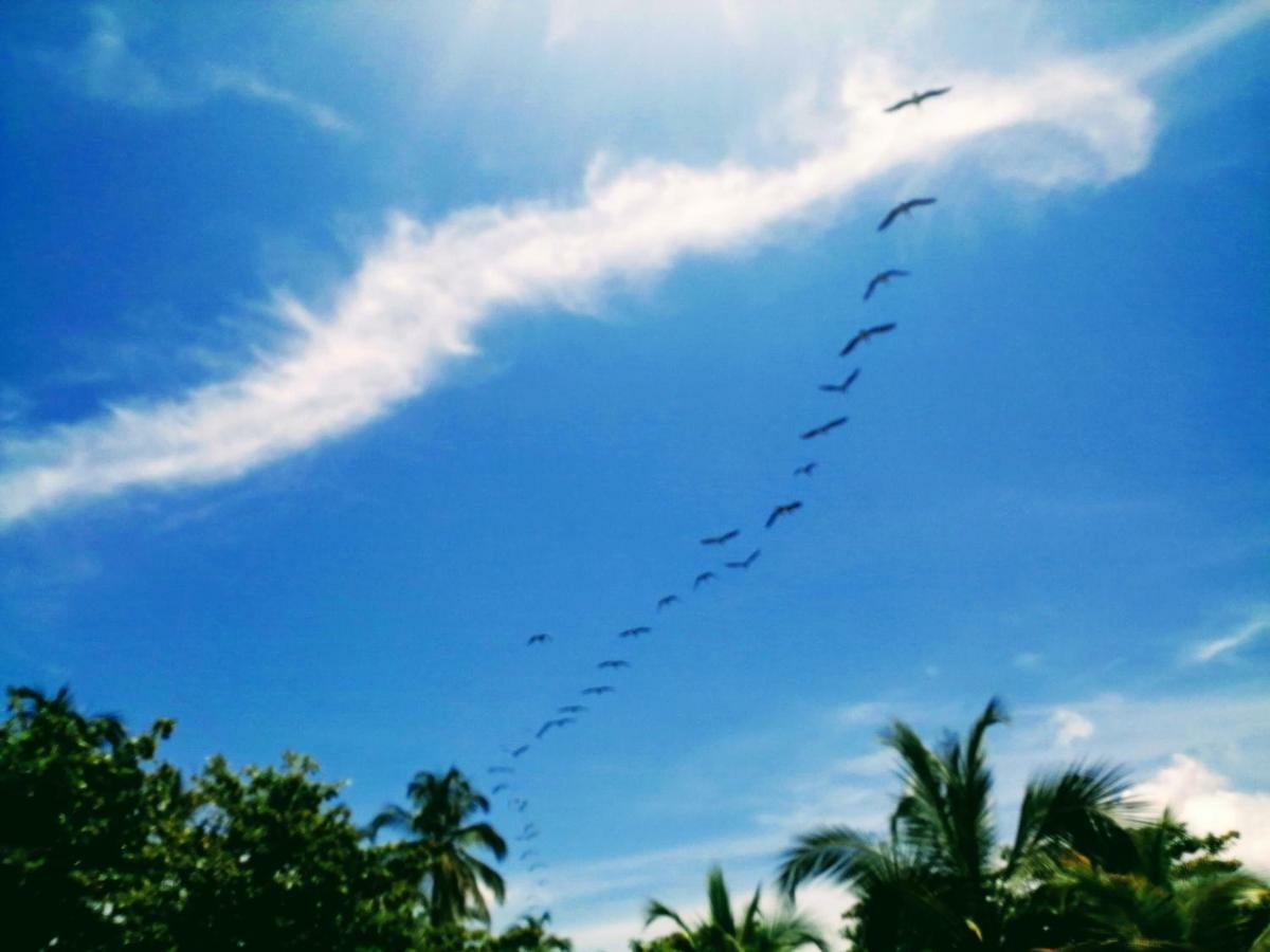 Hotel Playa Mandala Palomino Eksteriør bilde